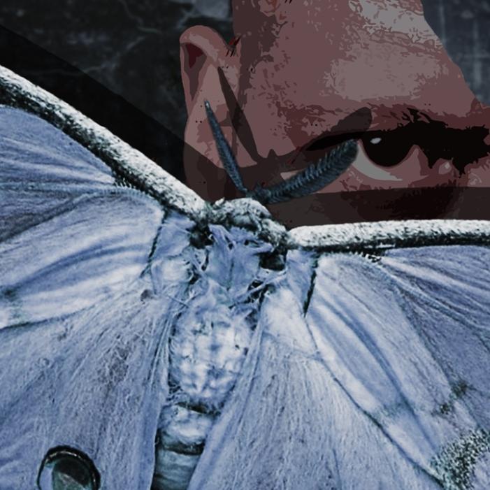 the moth.jpeg